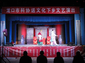 市科协组织开展文化下乡文艺演出与交流活动，助力乡村文化振兴