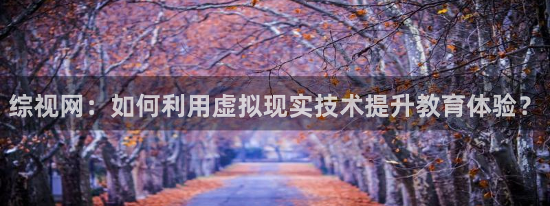 麦田视觉摄影：综视网：如何利用虚拟现实技术提升教育体验？