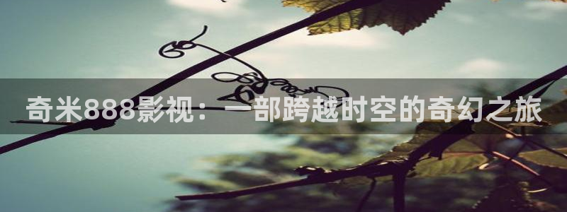 麦田影院最新版本下载：奇米888影视：一部跨越时空的奇幻之旅