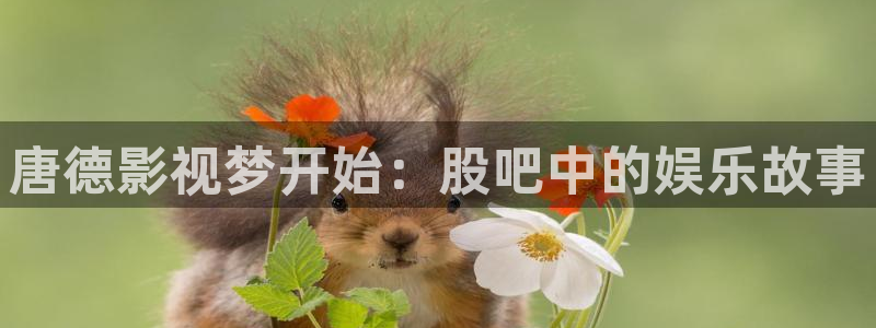 麦田影院下载：唐德影视梦开始：股吧中的娱乐故事