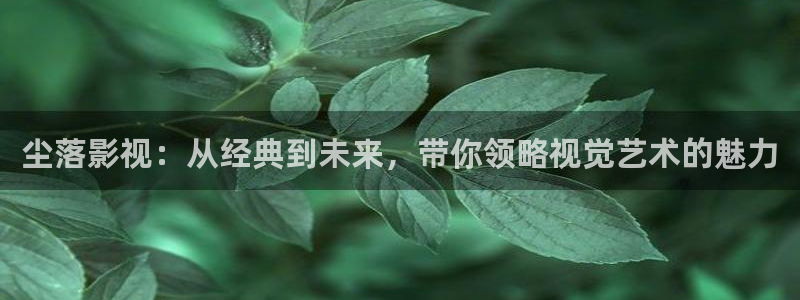 麦田影视影楼：尘落影视：从经典到未来，带你领略视觉艺术的魅力