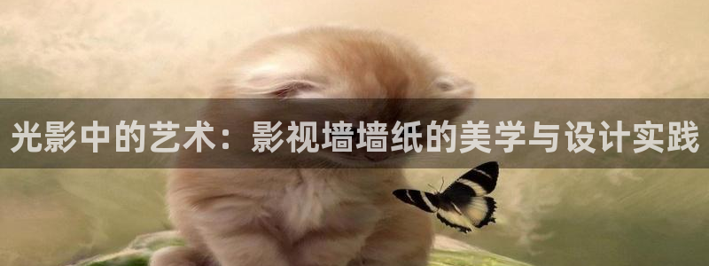 麦田视觉摄影