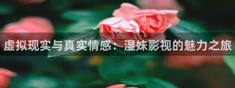 麦田影视免费高清观看电视剧