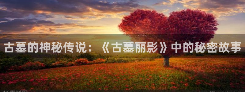 麦田映像