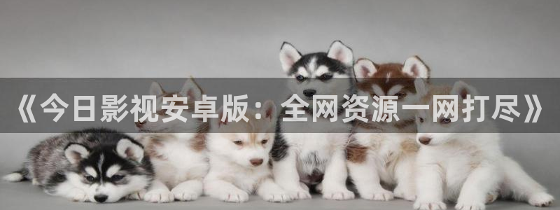 麦田影院官网免费观看