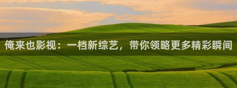 麦田影视app官方入口