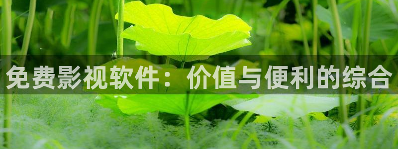 北京麦田